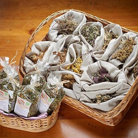 SolčavaTuristicna Kmetija Perk别墅 外观 照片
