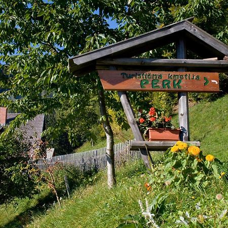 SolčavaTuristicna Kmetija Perk别墅 外观 照片