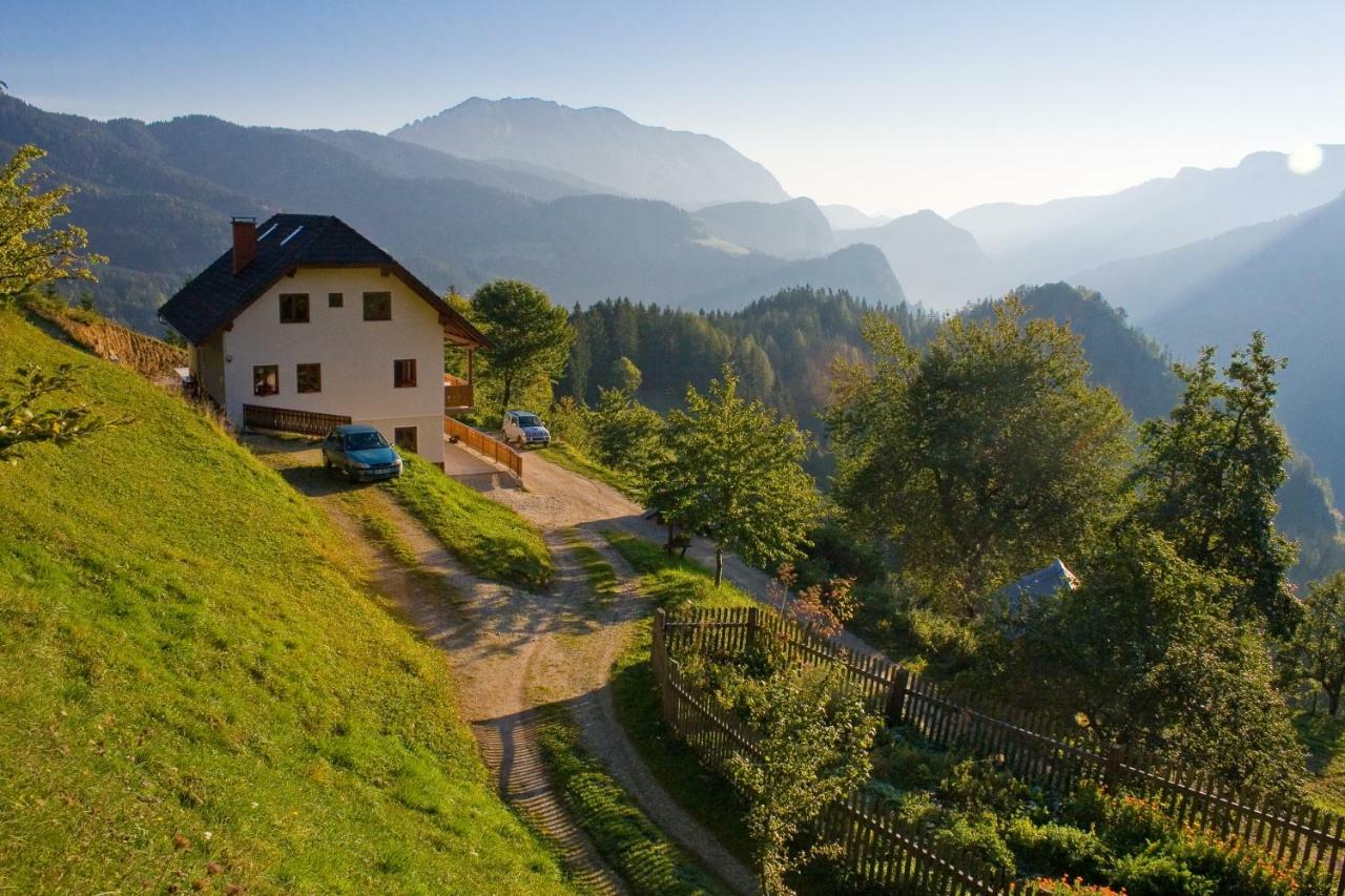 SolčavaTuristicna Kmetija Perk别墅 外观 照片