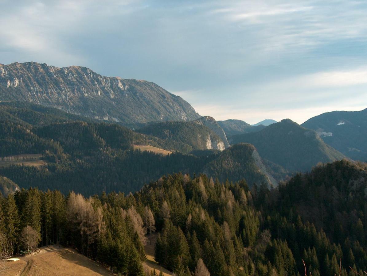 SolčavaTuristicna Kmetija Perk别墅 外观 照片