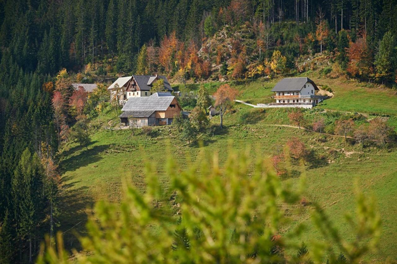 SolčavaTuristicna Kmetija Perk别墅 外观 照片