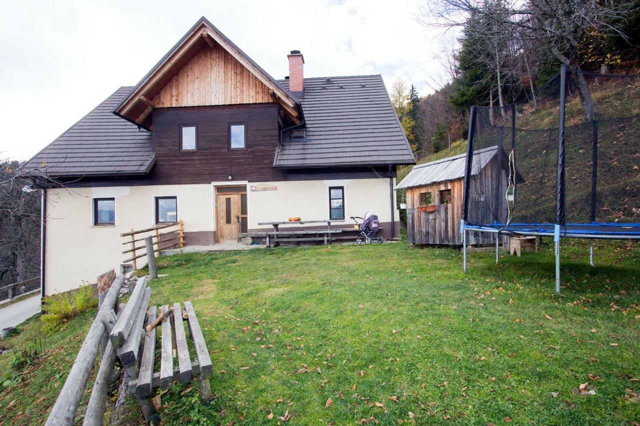 SolčavaTuristicna Kmetija Perk别墅 外观 照片